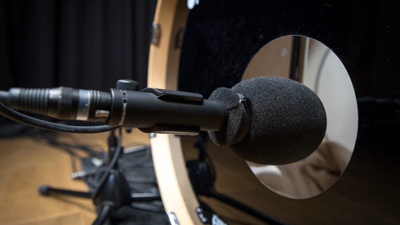 cho-thue-mic-co-day (3)